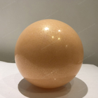 25 سنتيمتر كرة يوجا شعار مخصص مطبوع بيلاتيس توازن تدريب الجسم رياضة لياقة الكرة
