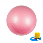 كرة التمرين (45 سم - 75 سم) ، كرسي كرة اليوجا مع مضخة سريعة ، كرة لياقة بدنية ثابتة لتدريب القوة الأساسية والبدنية