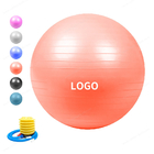 كرة التوازن الصحية بيلاتيس المعلم 55 سم مع كرة التوازن اليوجا مع كرة تمارين اليوجا واللياقة البدنية