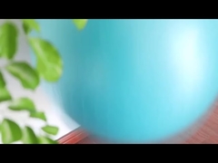 كرة اليوجا المقاومة للانفجار من البولي فينيل كلوريد مقاس 45 سم مع مضخة هواء، كرة تمارين رياضية، كرة يوجا